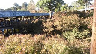 絶景の紅葉！でもチョット時期が早かった！