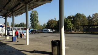 リラの僧院へのバスが出ています