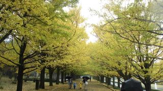 園内は広いので自転車移動がお勧めです