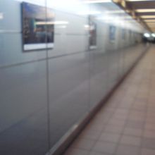 世界各地の写真