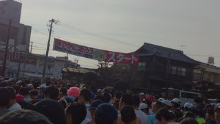 瀬戸内海タートル・フルマラソン全国大会