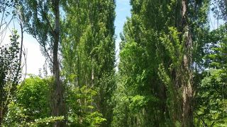 札幌市の観光名所として紹介されている。