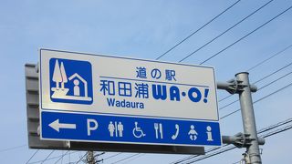 シロナガスクジラの全身骨格展示は圧巻