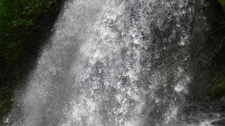 名前にふさわしくない迫力です