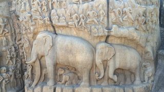 交通量が多いので注意