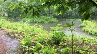 広大な敷地の中で芸術が調和