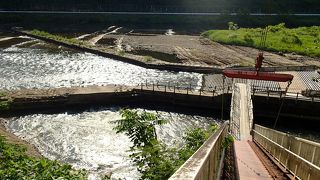 やな場があり、焼き立ての、鮎の塩振りが食べれます