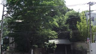 重要文化財の表門は何時でも観ることが出来ます