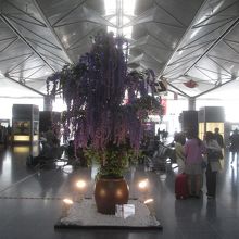 中部国際空港セントレア