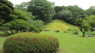 オカメザサに覆われた築山です