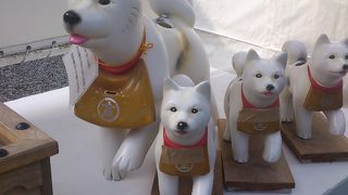 お持ち帰りの狗もいます