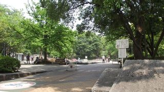 防災機能を備えた緑豊かな憩いの広場です