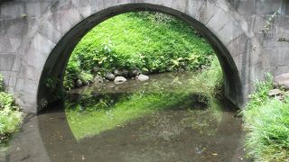 川に映る橋と一体になって円になります