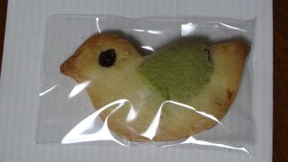 大磯のアオバトクッキー