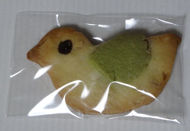 大磯のアオバトクッキー
