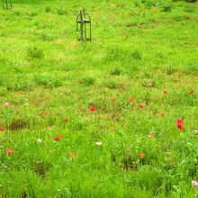 童話の世界みたいな謎の場所