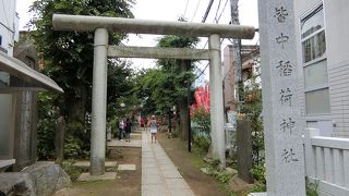 高額宝くじが当選するはず…