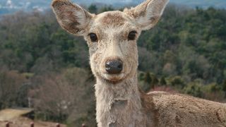 眺望がよいです。
