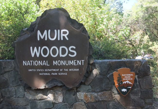 ミュアウッズ国定公園 クチコミ アクセス 営業時間 カリフォルニア州 フォートラベル ミュアウッズ国定公園 クチコミ アクセス 営業時間 カリフォルニア州 フォートラベル