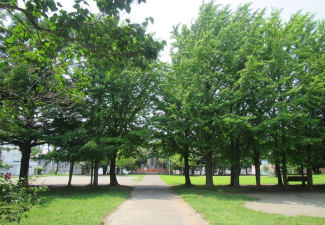 平和公園 (札幌市)