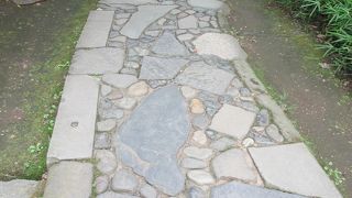 深い木々の中にあります