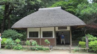 意味深い命名です