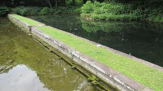 渡月橋の隣です