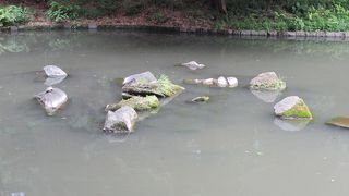 石が浅瀬に置かれてます