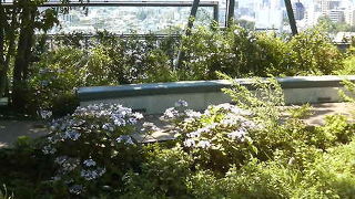 東池袋駅近くで喧騒を離れてゆったりできる屋上庭園