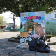 和歌山城の敷地にあるのんびりした動物園