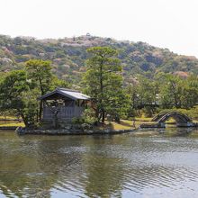 庭園の景色