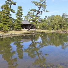 庭園の景色