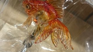 実演販売してます。繊細な飴細工に魅せられます