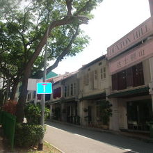 分岐付近の様子