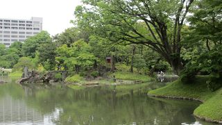 大泉水の中の島です