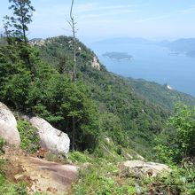 途中で鹿にあいました