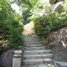 まだまだ、半分です。