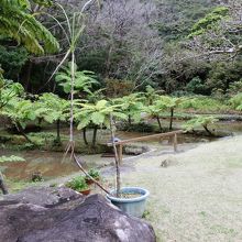 泥染を行う場所です。田んぼという雰囲気です。