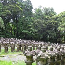 斜面に並ぶ５００の家臣の灯篭群