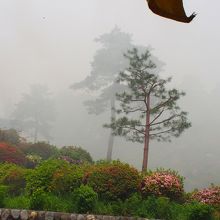 火渡りの煙で一面真っ白！！