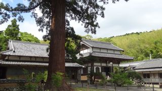 元寇以降亡くなった死者の冥福を祈って建てられたそうな