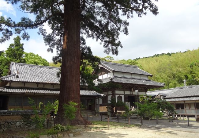 元寇以降亡くなった死者の冥福を祈って建てられたそうな