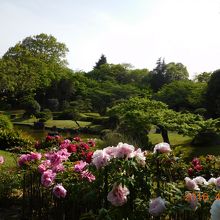 あけぼの山日本庭園
