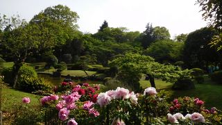 素敵な日本庭園があります。