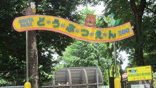 無料の動物園です