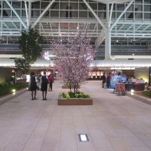 羽田空港 国際線旅客ターミナル