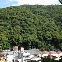 朝のお部屋からの眺め。