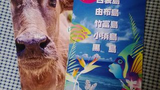 八重山諸島の日帰りツアー