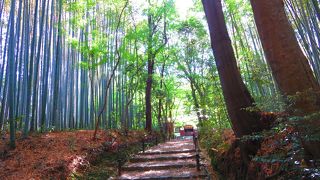 新緑にもおすすめ