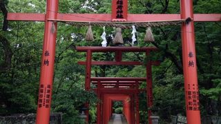 鮮やかな鳥居が連なる光景に惹かれて人が集まって来ちゃうので写真を撮るまでに暫く待たなければなりませんでした